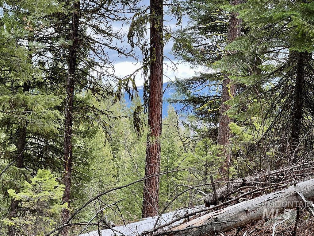 Tbd Hilltop Rd. Property Photo 2