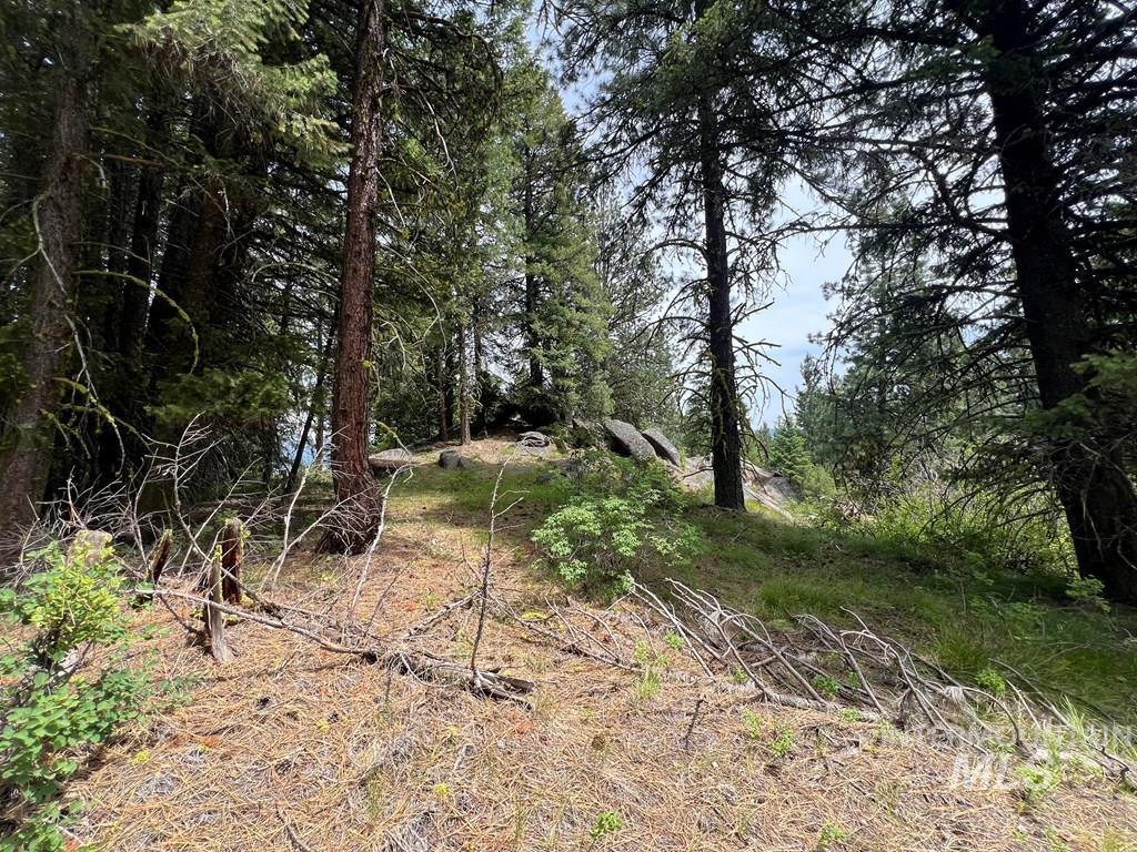 Tbd Hilltop Rd. Property Photo 3