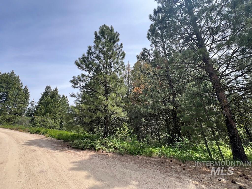 Tbd Hilltop Rd. Property Photo 10