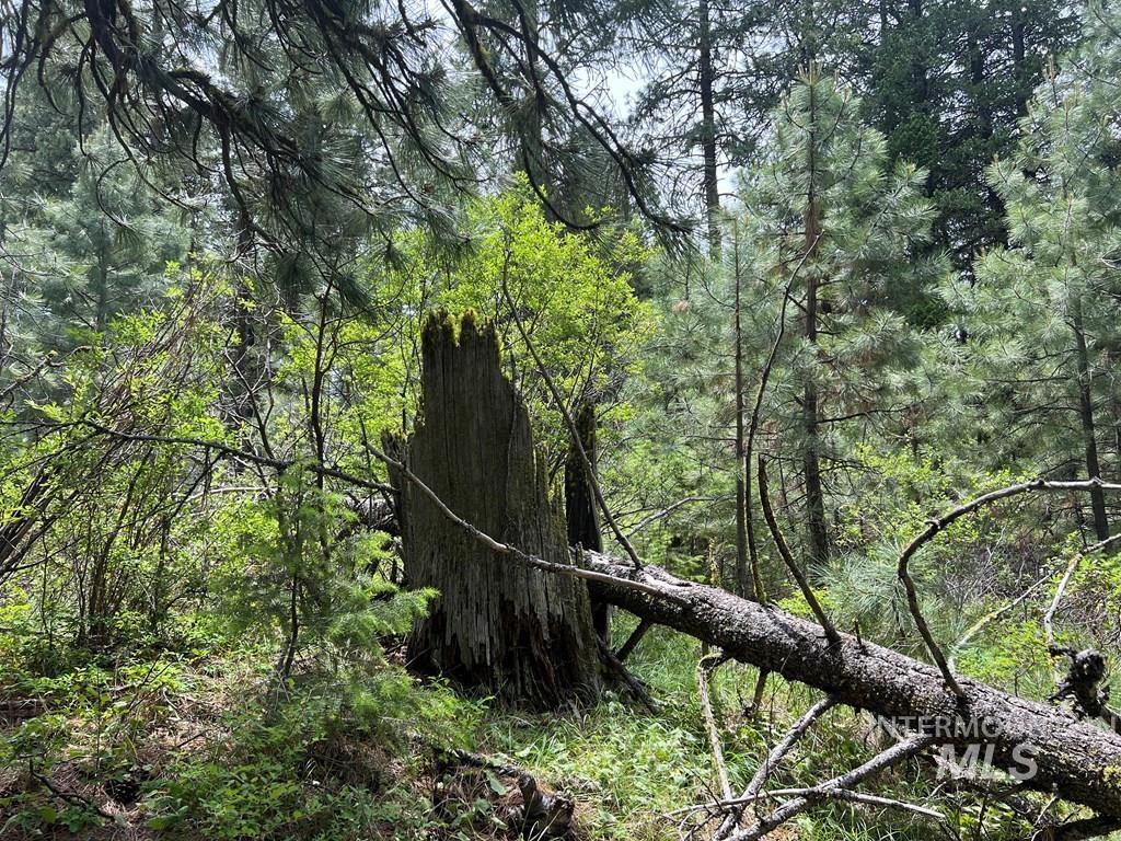 Tbd Hilltop Rd. Property Photo 12