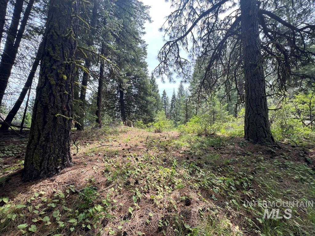 Tbd Hilltop Rd. Property Photo 13