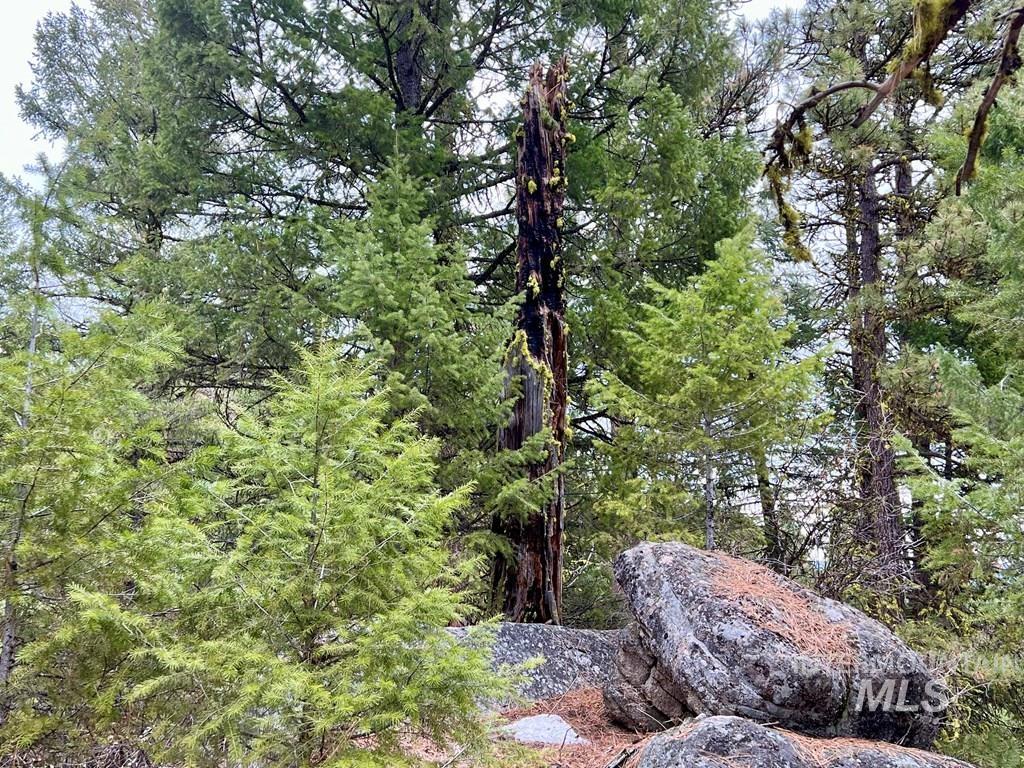 Tbd Hilltop Rd. Property Photo 16