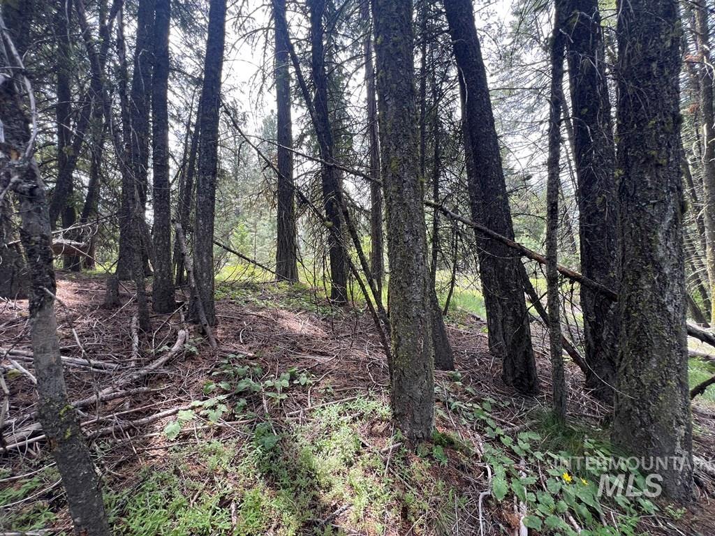 Tbd Hilltop Rd. Property Photo 19