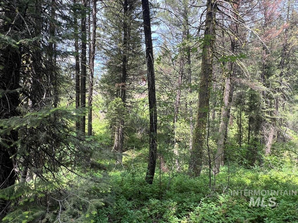 Tbd Hilltop Rd. Property Photo 22