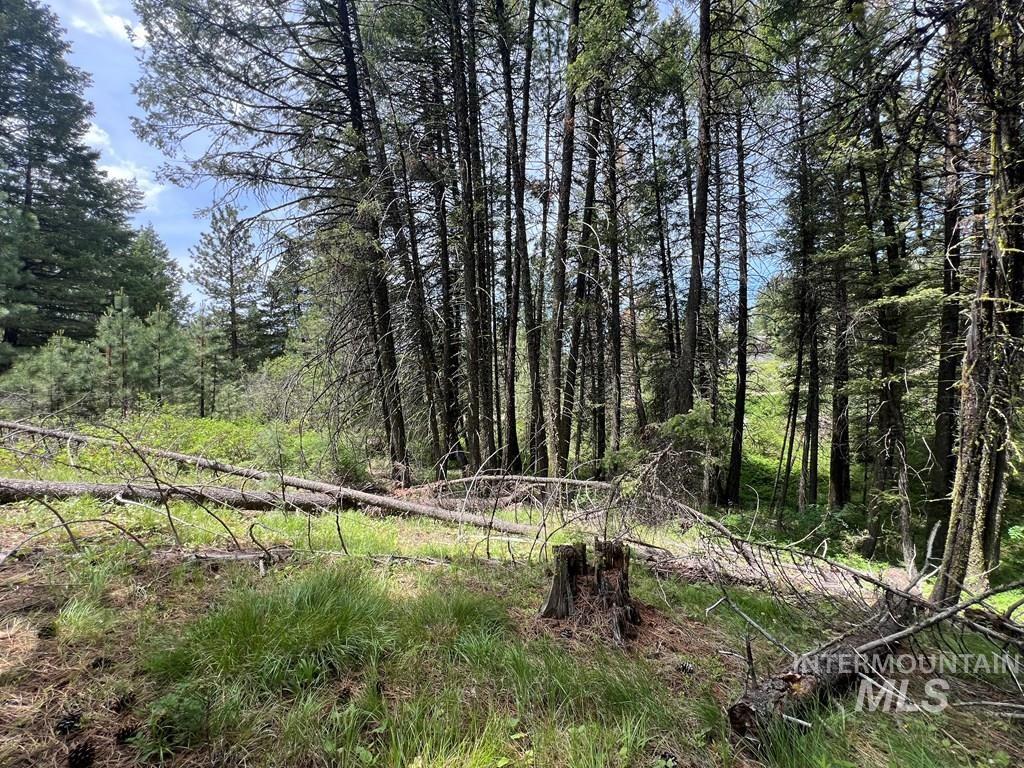 Tbd Hilltop Rd. Property Photo 26