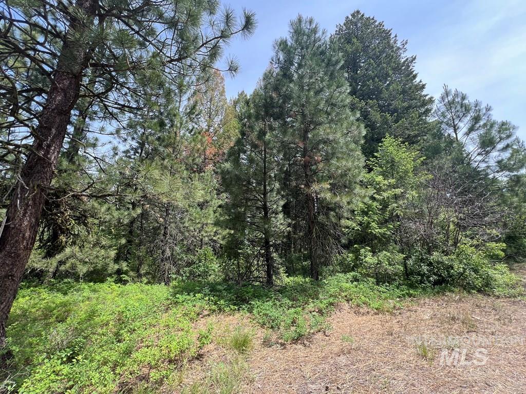 Tbd Hilltop Rd. Property Photo 30