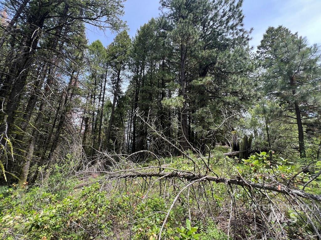 Tbd Hilltop Rd. Property Photo 32