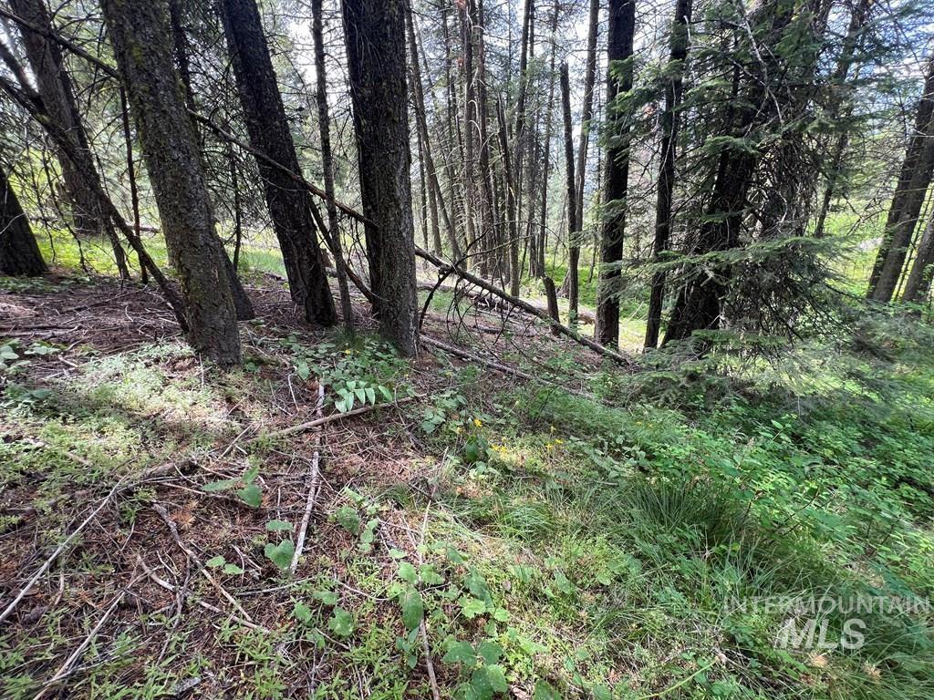 Tbd Hilltop Rd. Property Photo 35