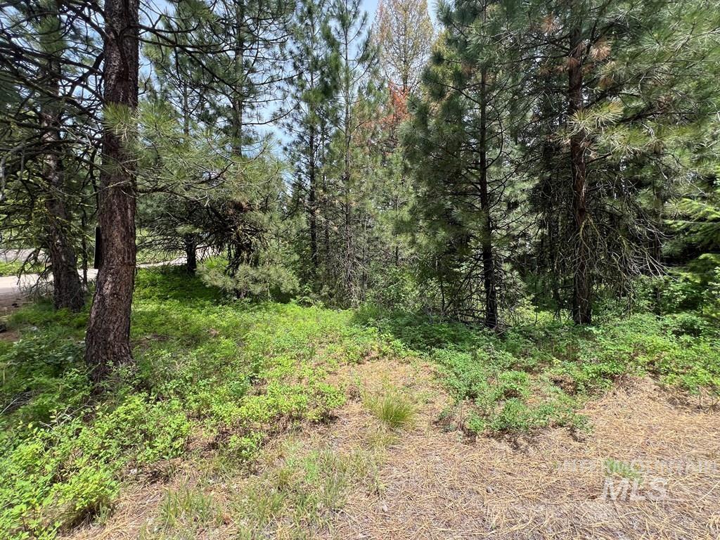 Tbd Hilltop Rd. Property Photo 37