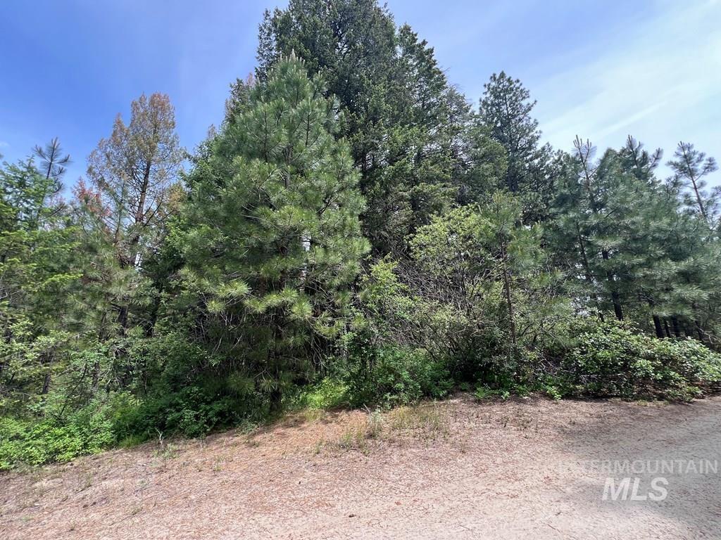 Tbd Hilltop Rd. Property Photo 38