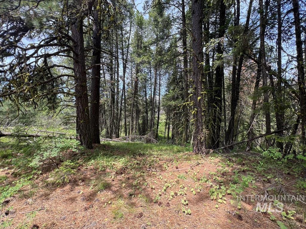 Tbd Hilltop Rd. Property Photo 39