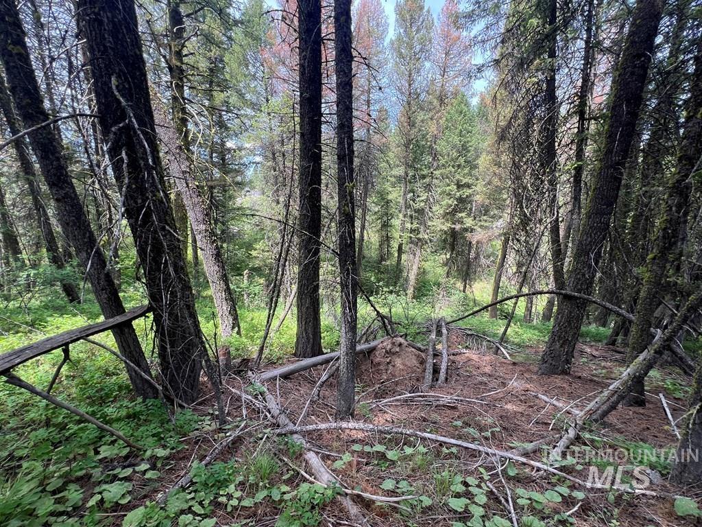 Tbd Hilltop Rd. Property Photo 40