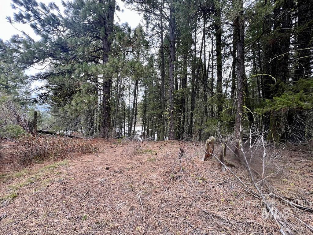 Tbd Hilltop Rd. Property Photo 46