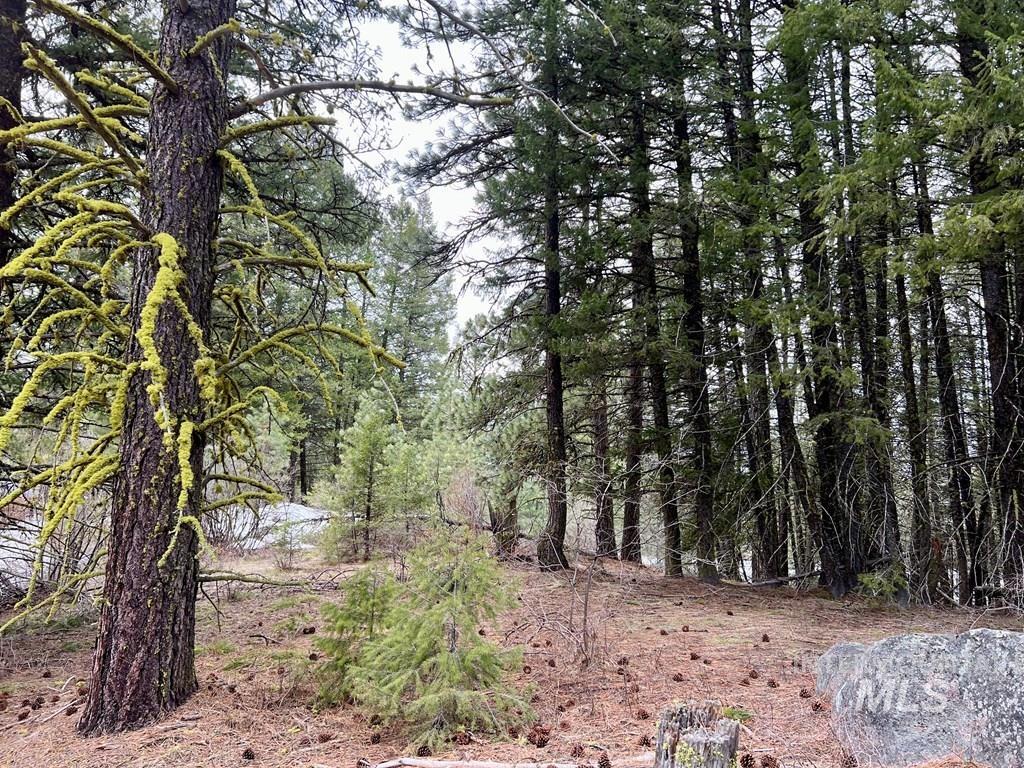 Tbd Hilltop Rd. Property Photo 47