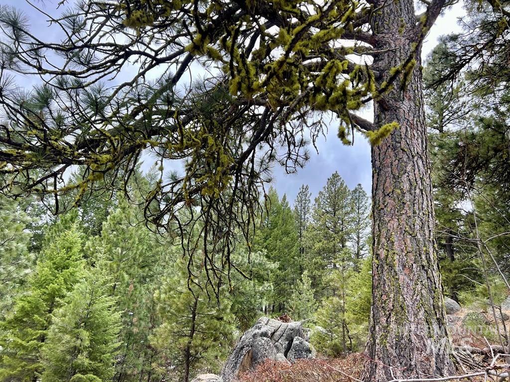 Tbd Hilltop Rd. Property Photo 48