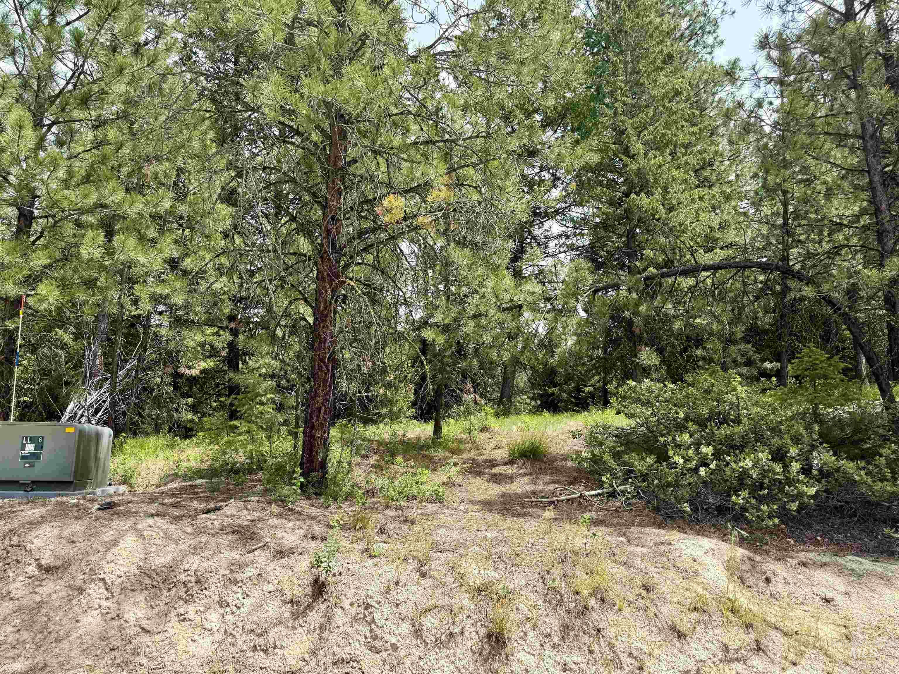 53 Landale Lane Property Photo 1