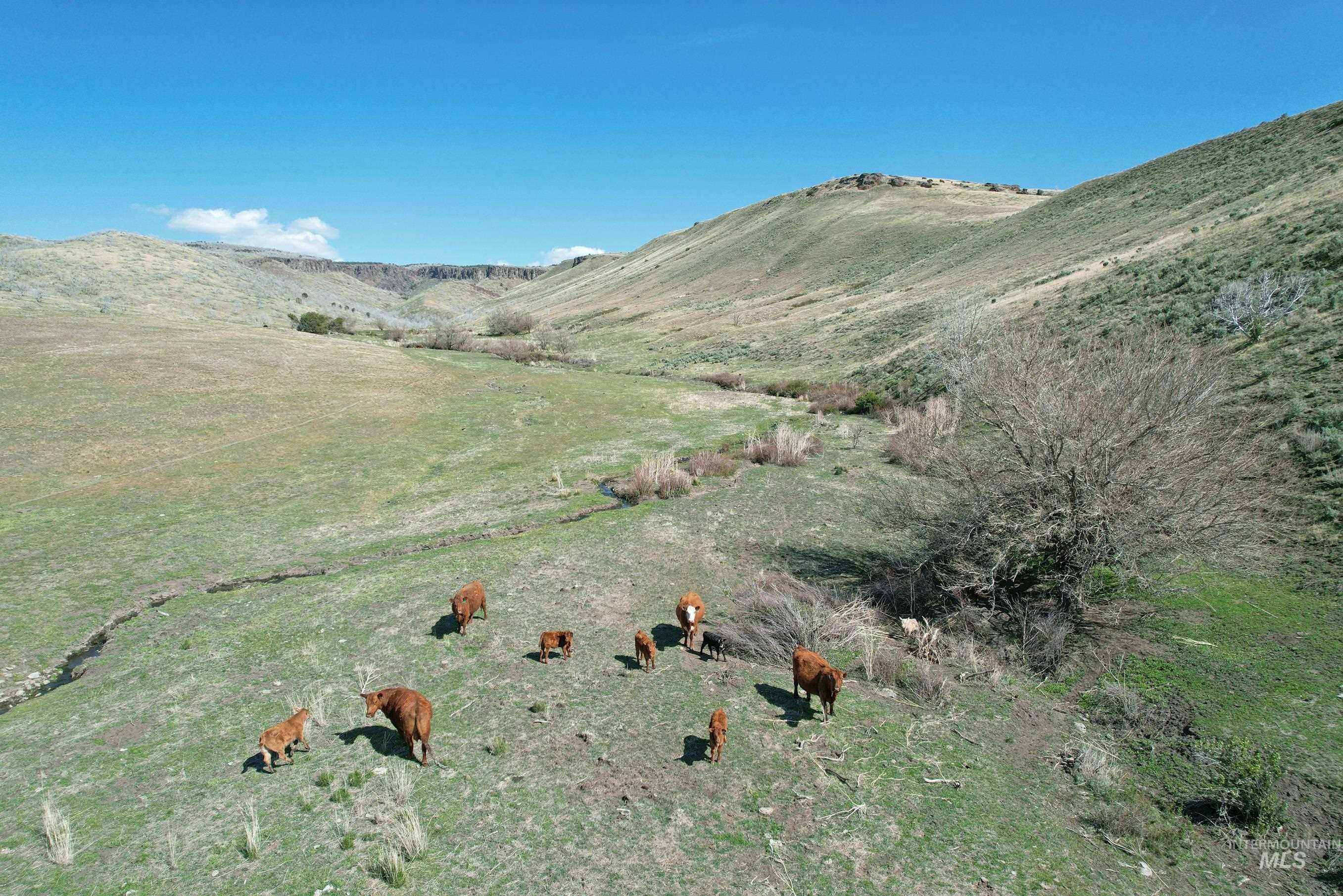 Tbd Marsh Creek Road Property Photo 9