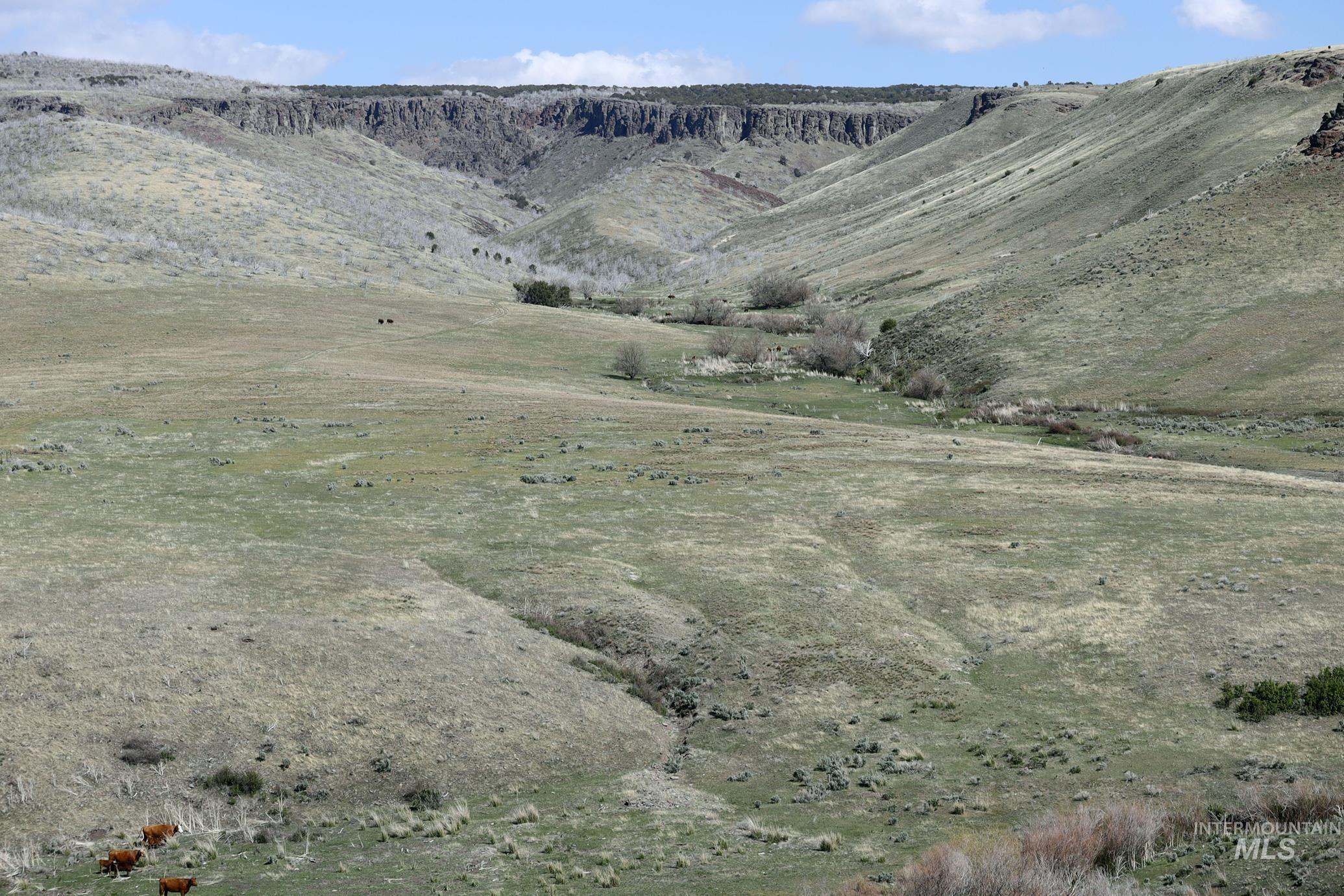 Tbd Marsh Creek Road Property Photo 19
