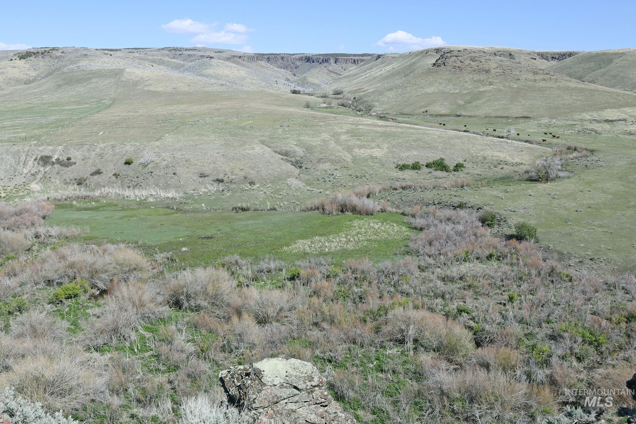 Tbd Marsh Creek Road Property Photo 21