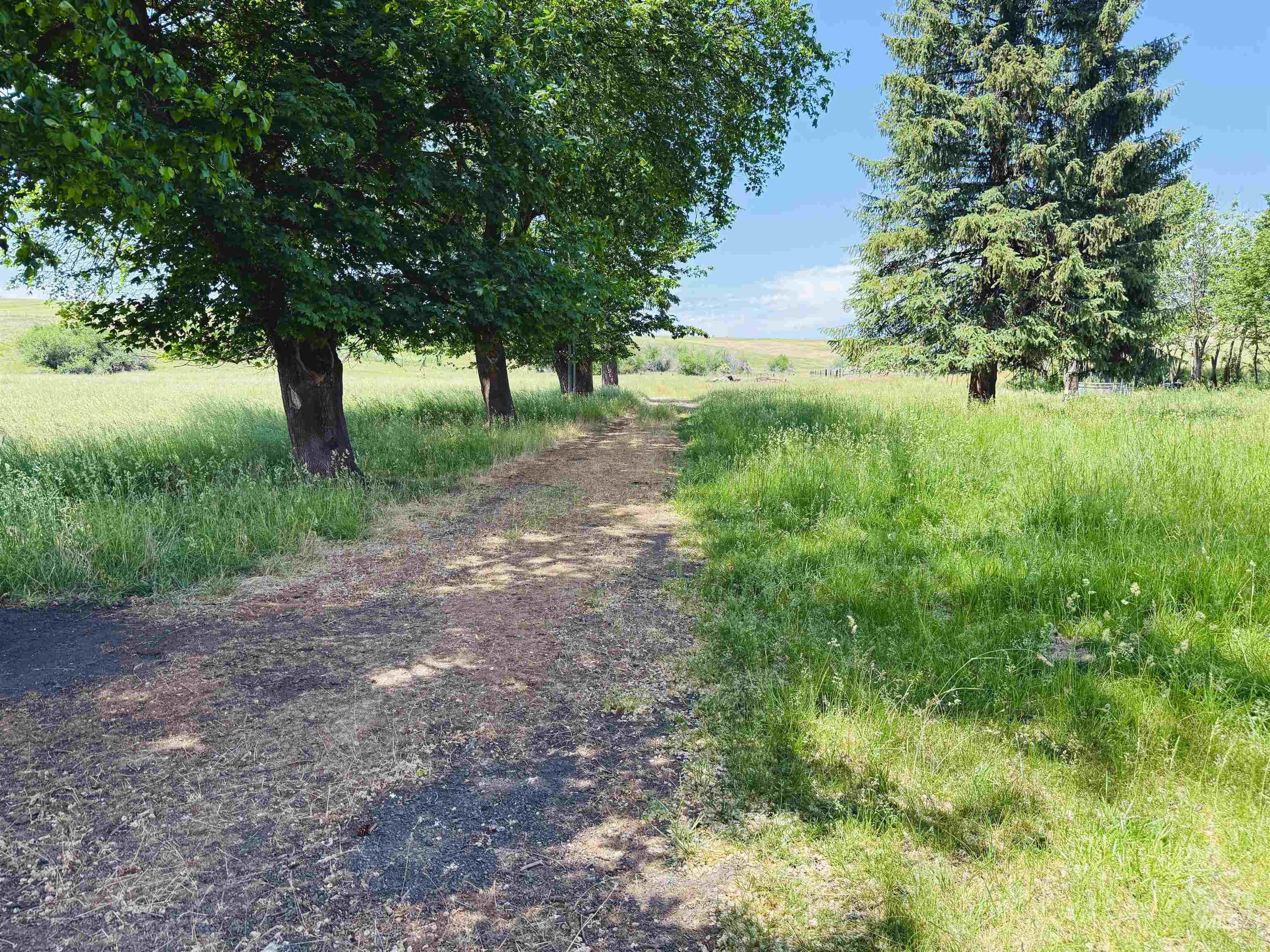 Tbd Wasem Road Lot 4 Property Photo 2