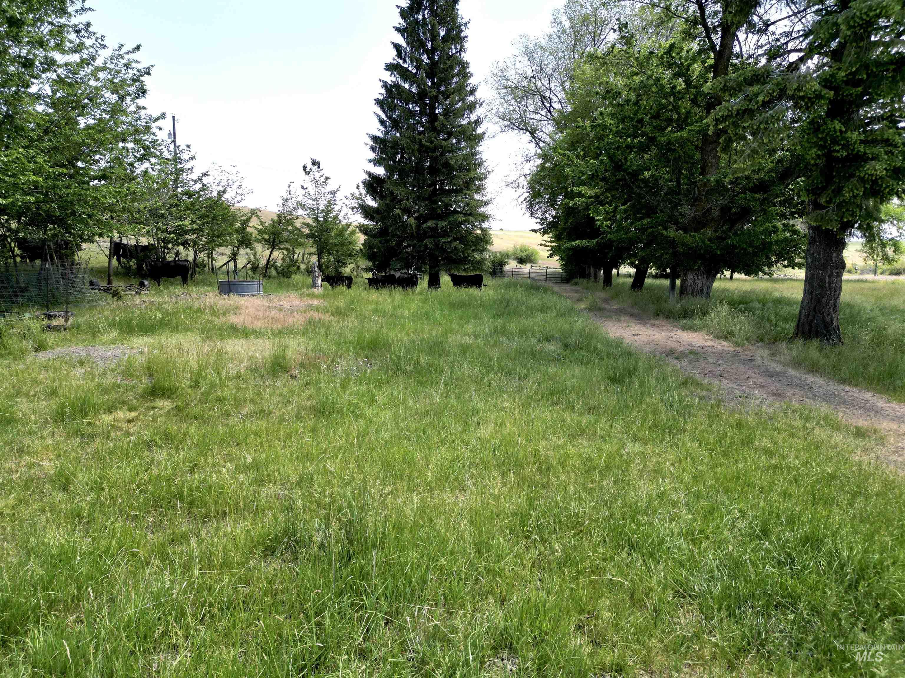 Tbd Wasem Road Lot 4 Property Photo 10