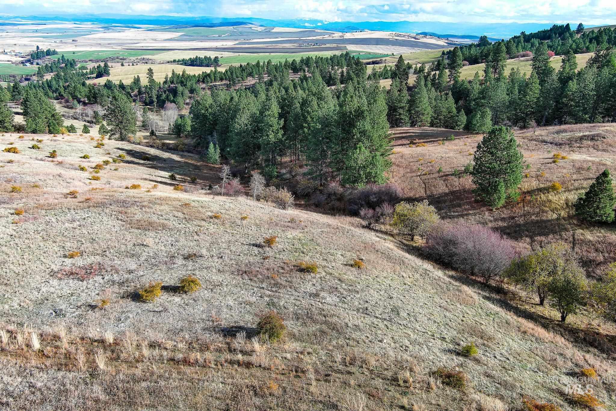 Tbd Over Yonder Road Property Photo 2
