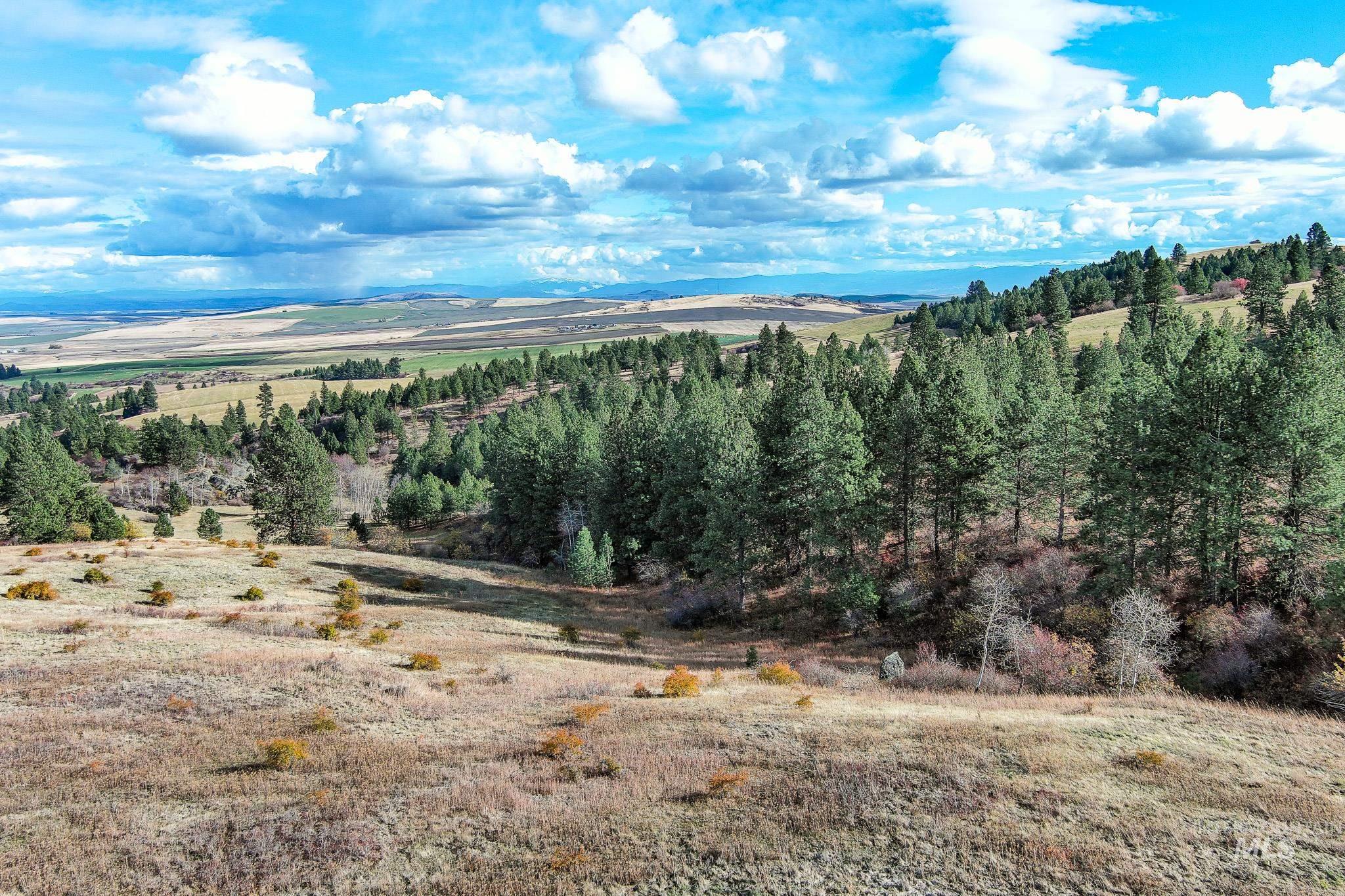 Tbd Over Yonder Road Property Photo 4