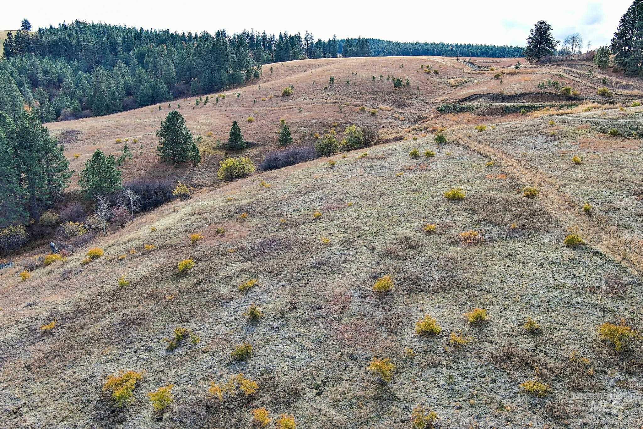 Tbd Over Yonder Road Property Photo 7