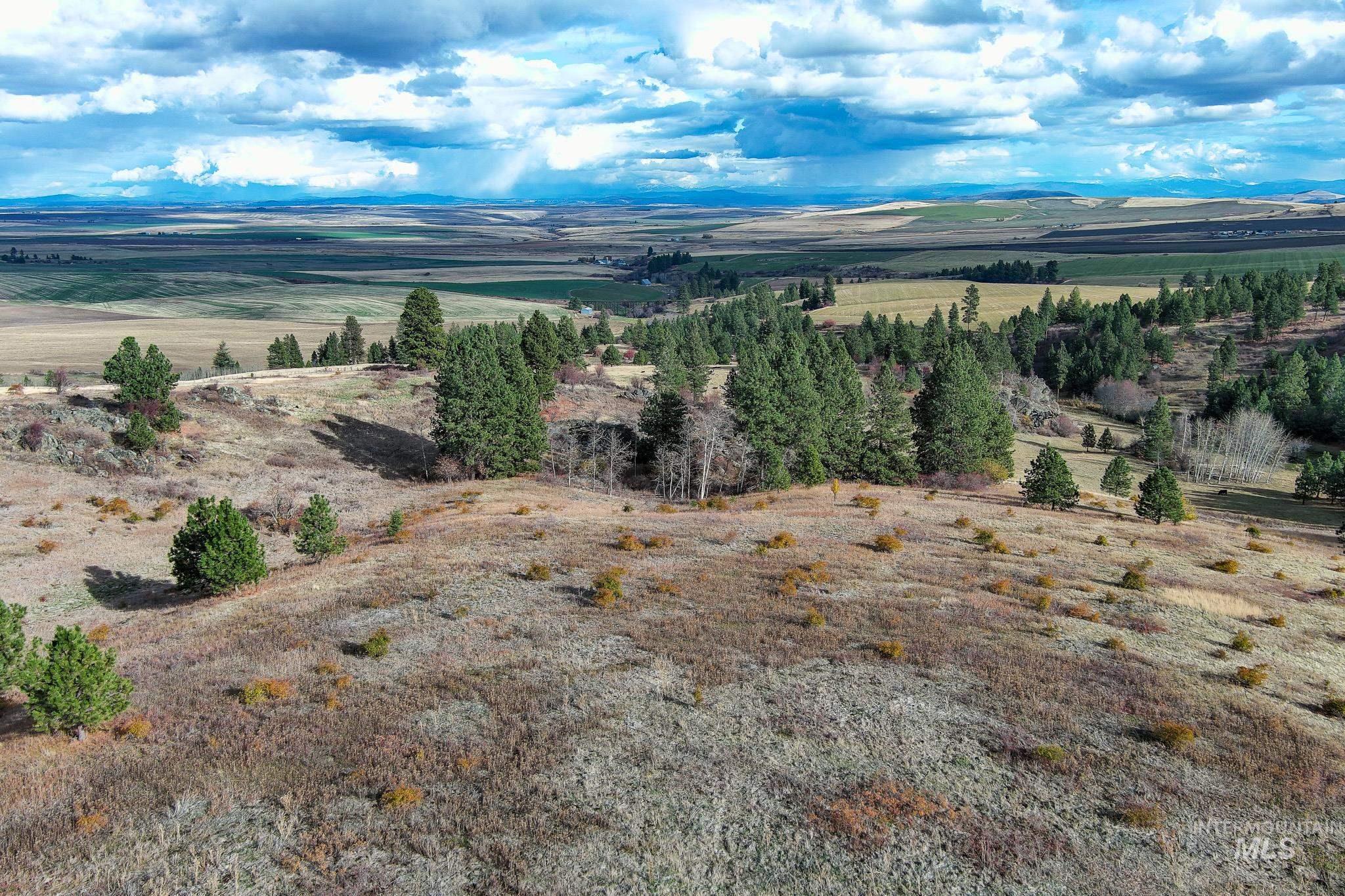 Tbd Over Yonder Road Property Photo 11