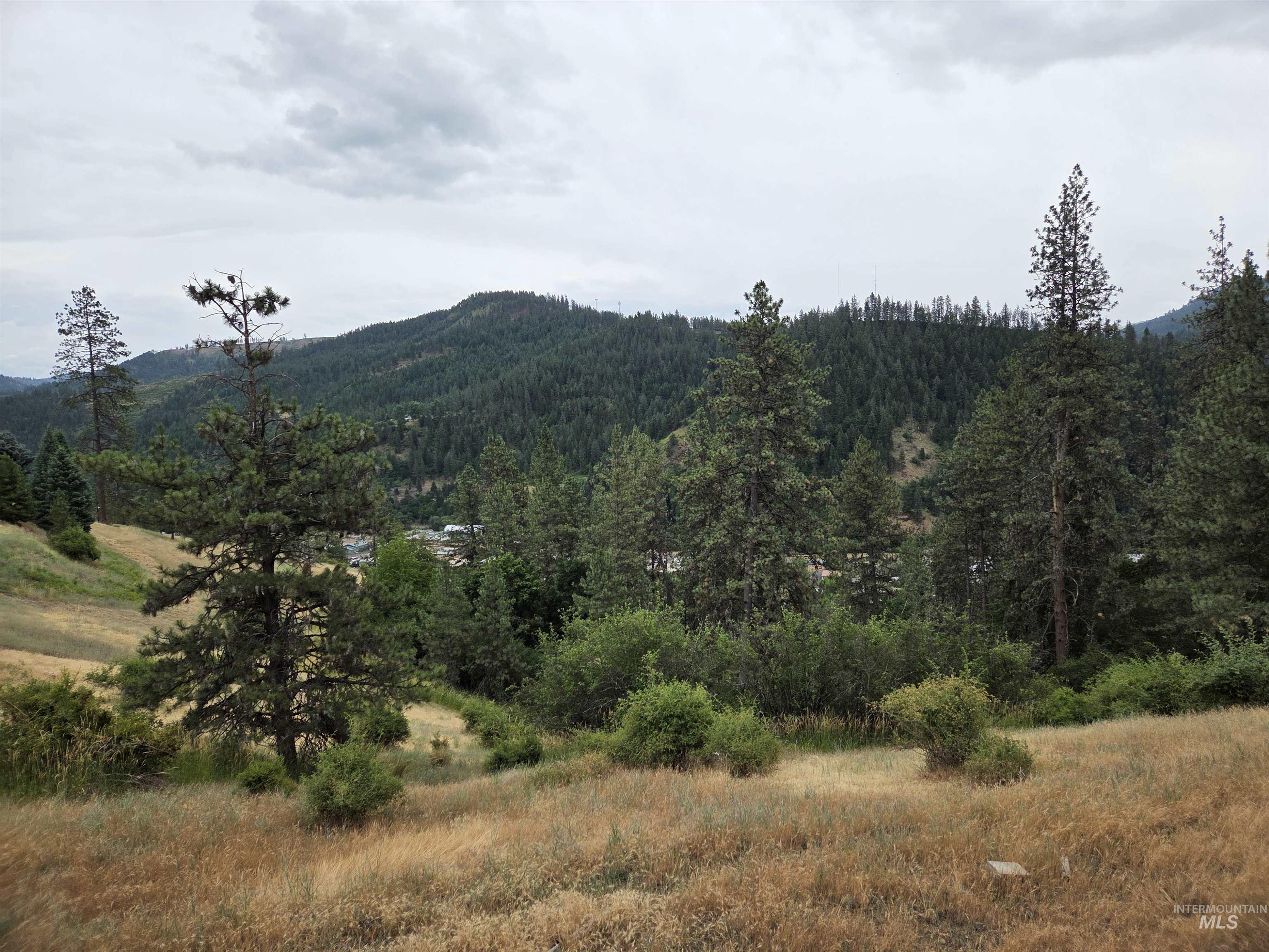 256 Shasta Circle Property Photo 42