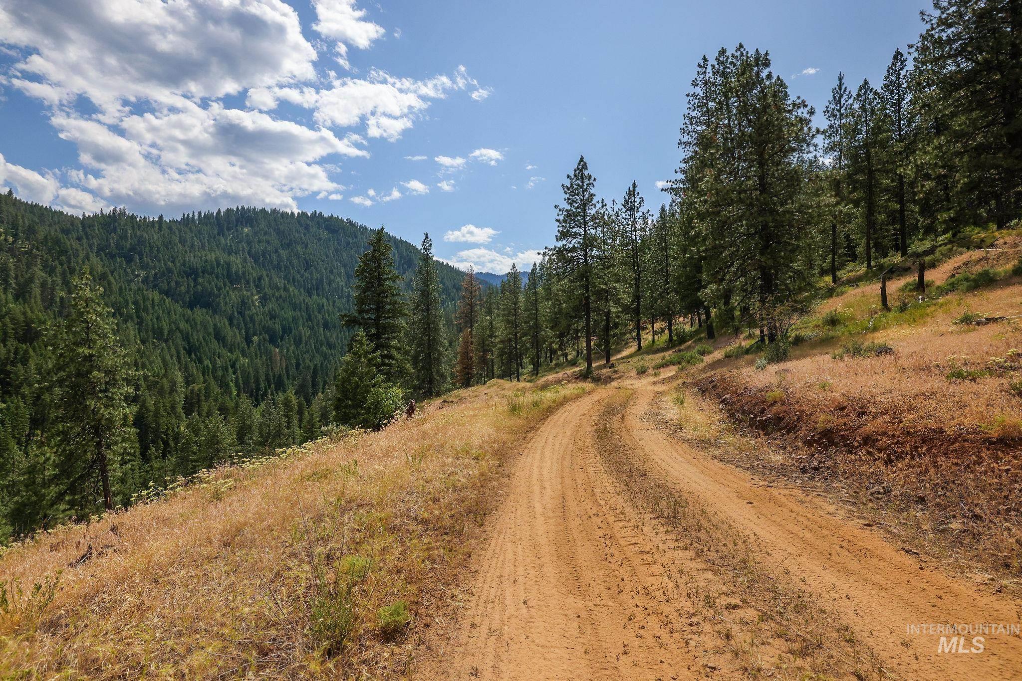 28 Hillman Basin Rd Property Photo 29