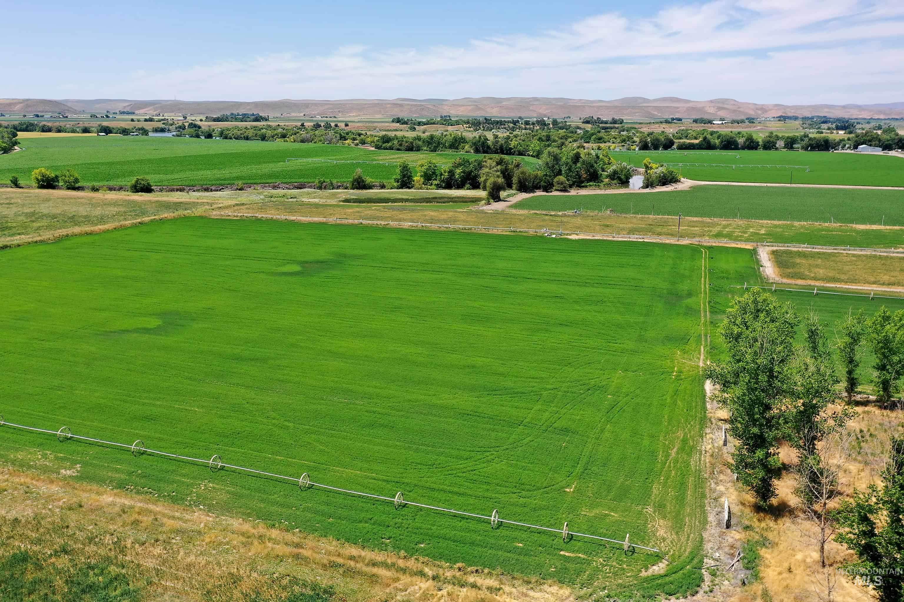 Tbd Ross Road Property Photo 3