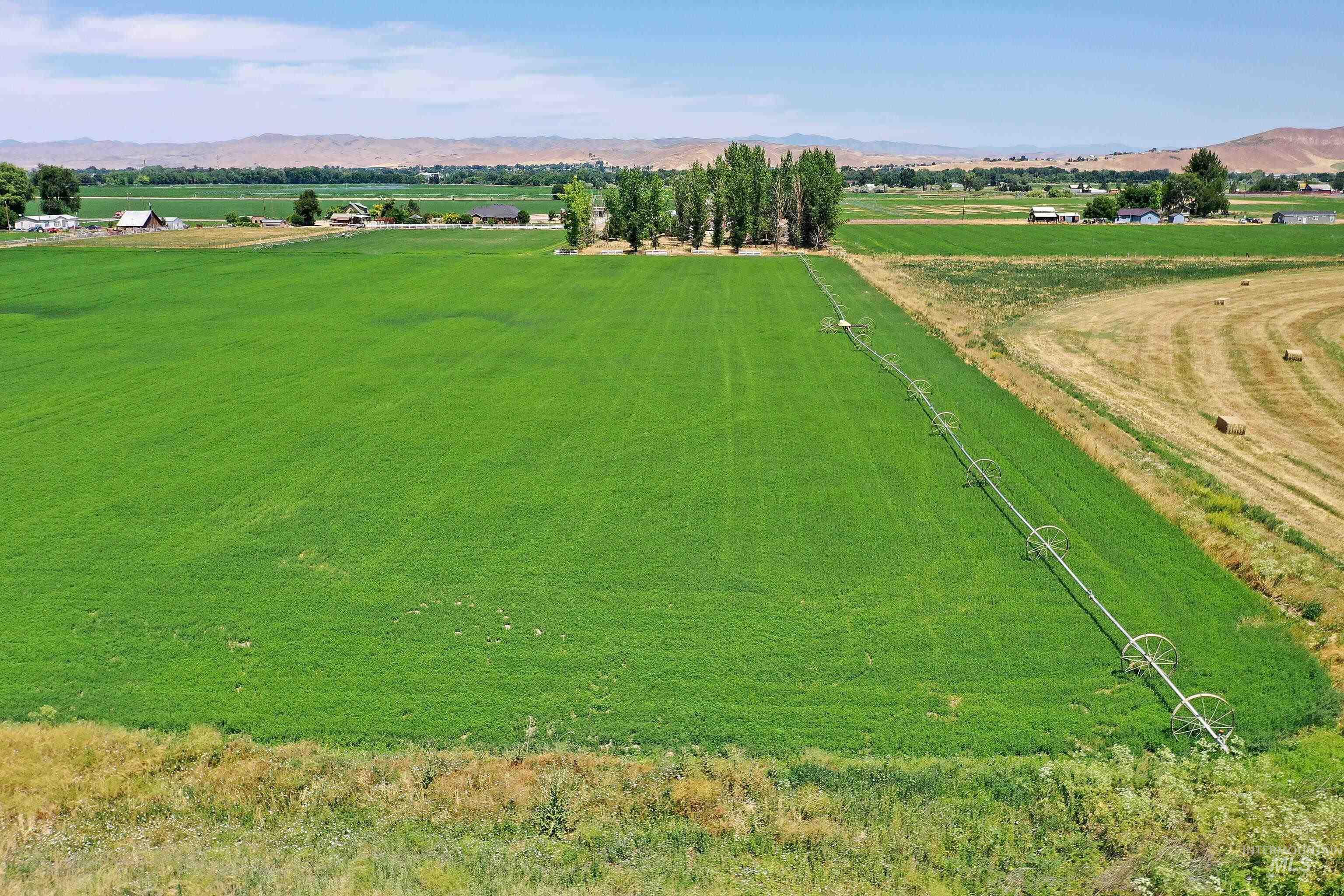 Tbd Ross Road Property Photo 12