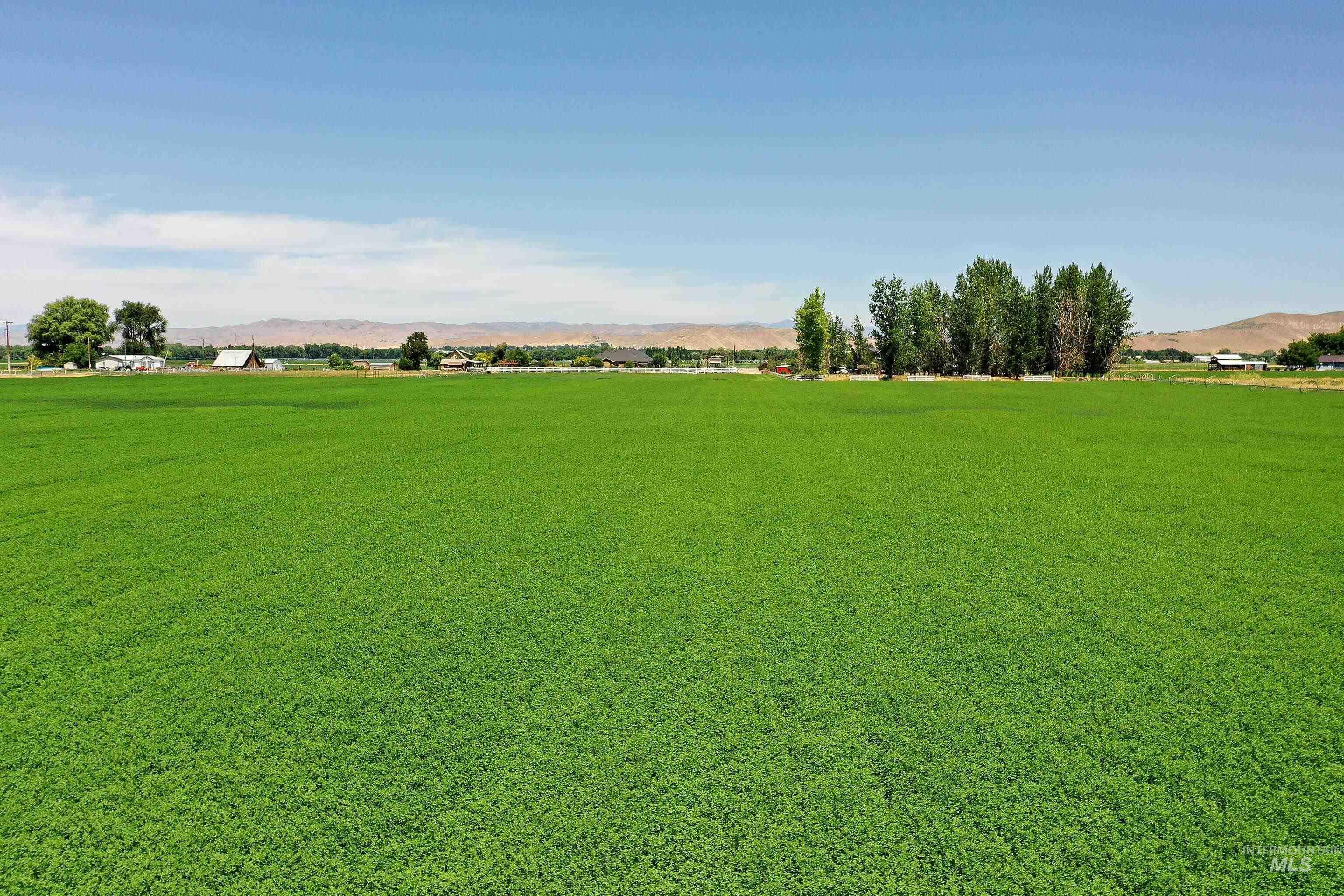 Tbd Ross Road Property Photo 13