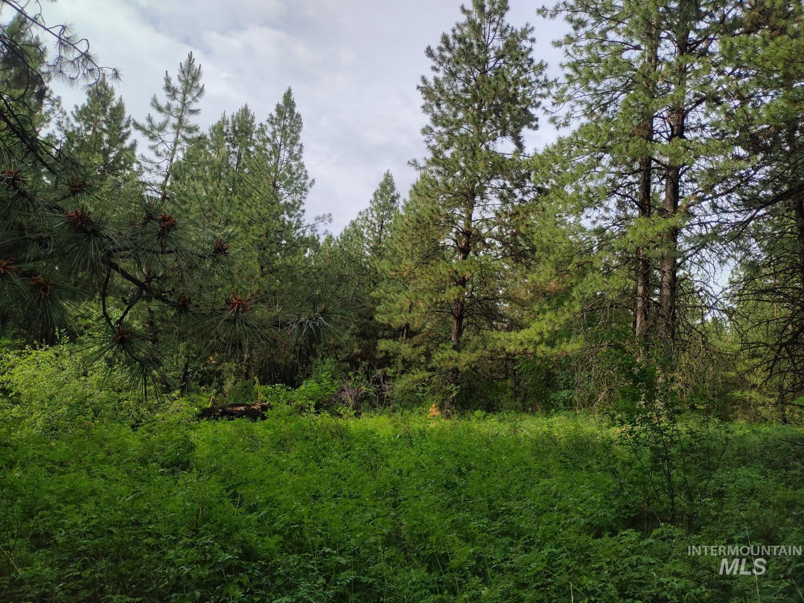 Nna - 5 Ac Jackpine Road Property Photo 1