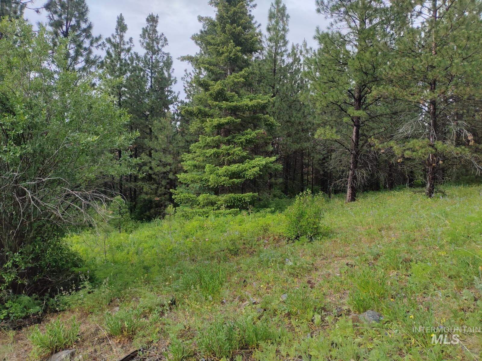 Nna 8 Ac Jackpine Property Photo 1