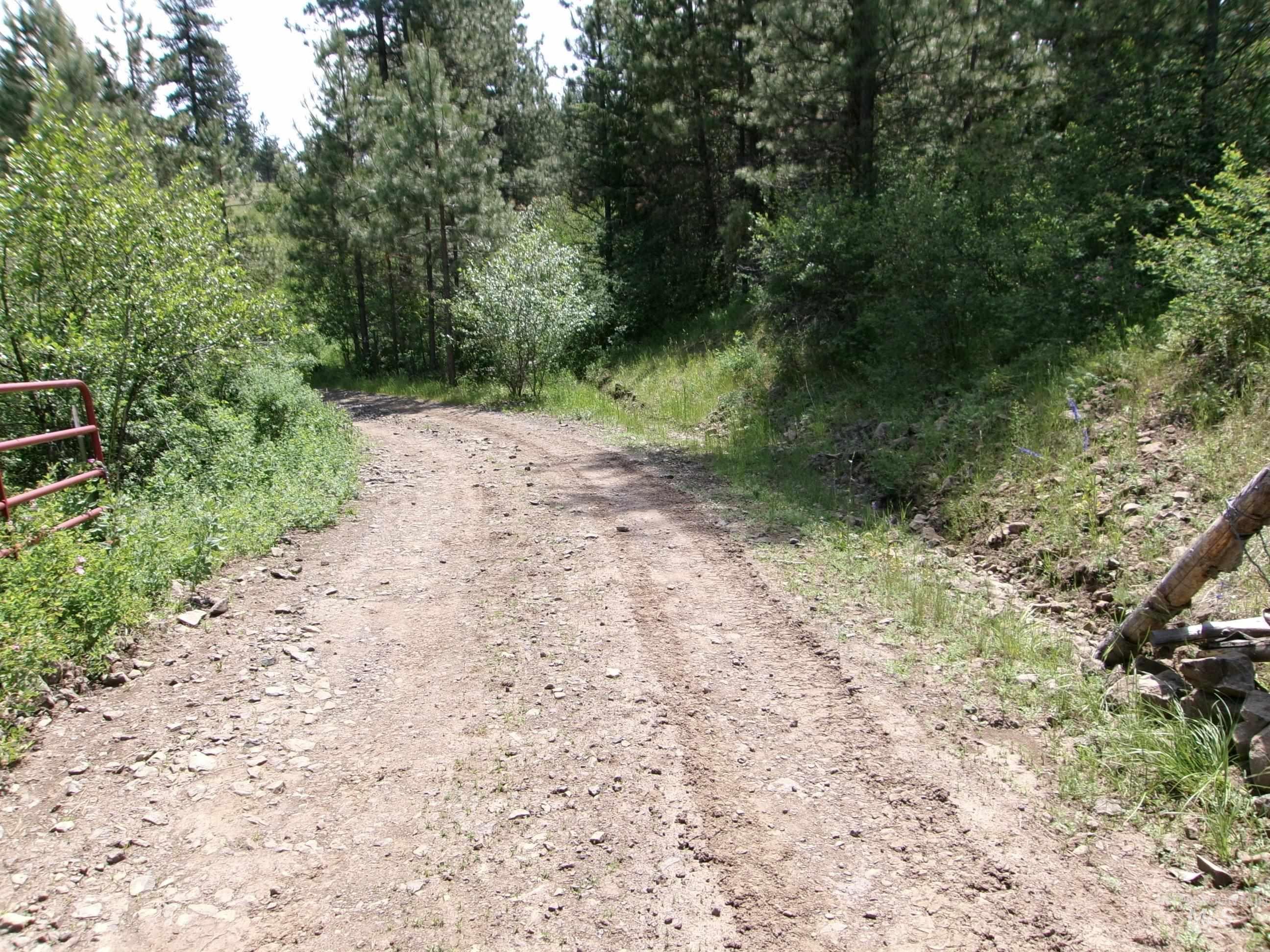 Nna 8 Ac Jackpine Property Photo 3
