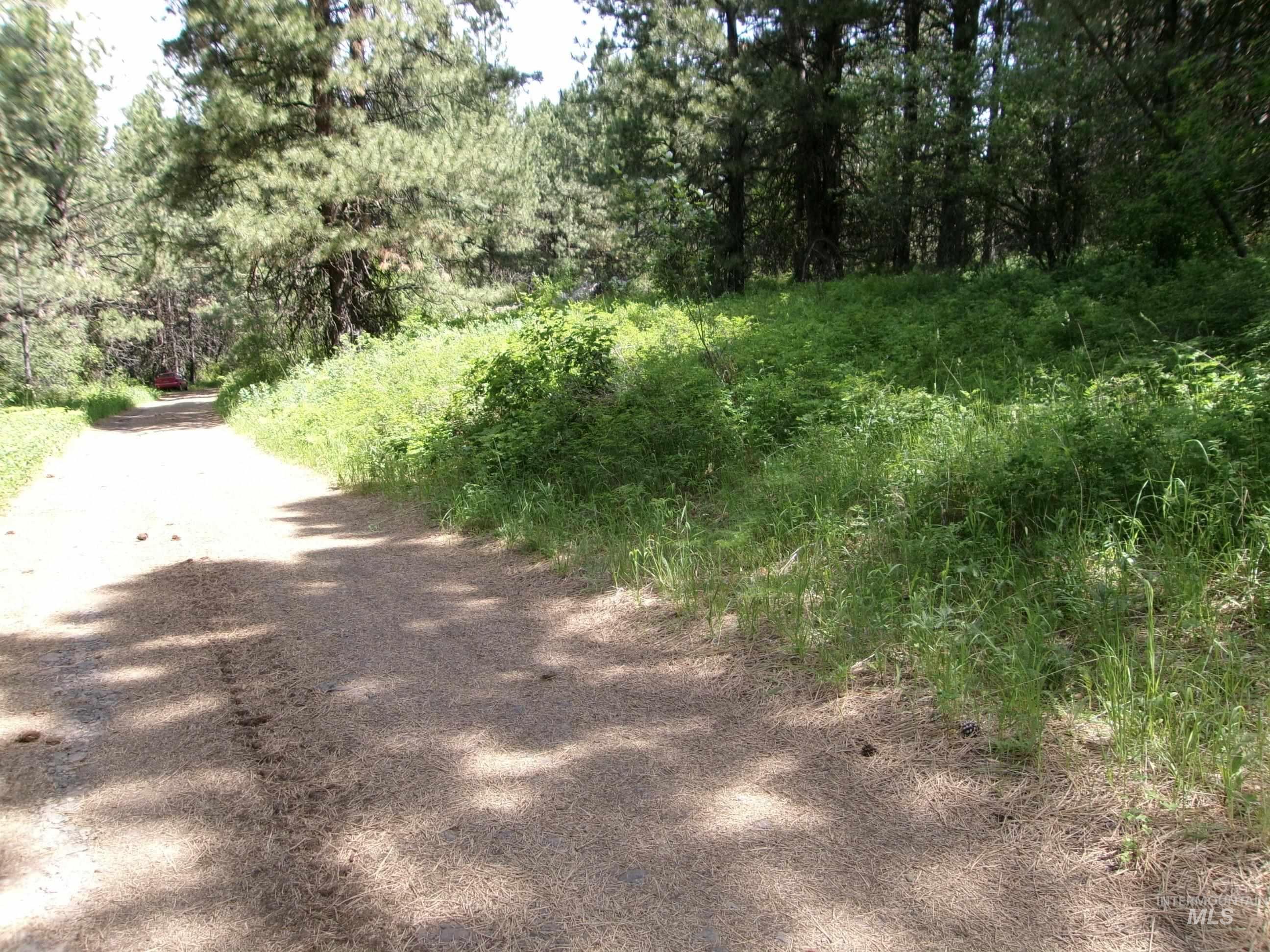 Nna 8 Ac Jackpine Property Photo 5
