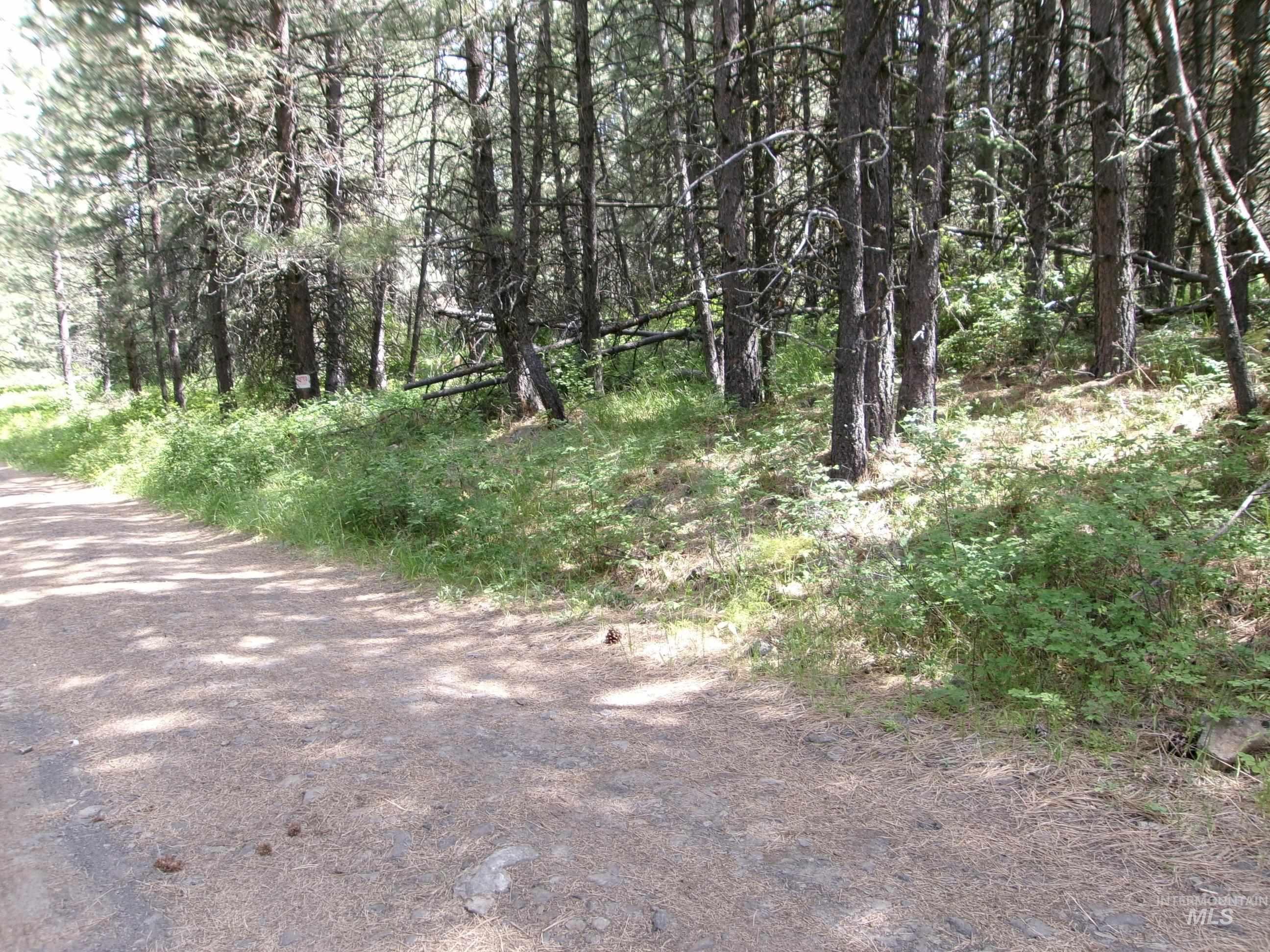 Nna 8 Ac Jackpine Property Photo 6