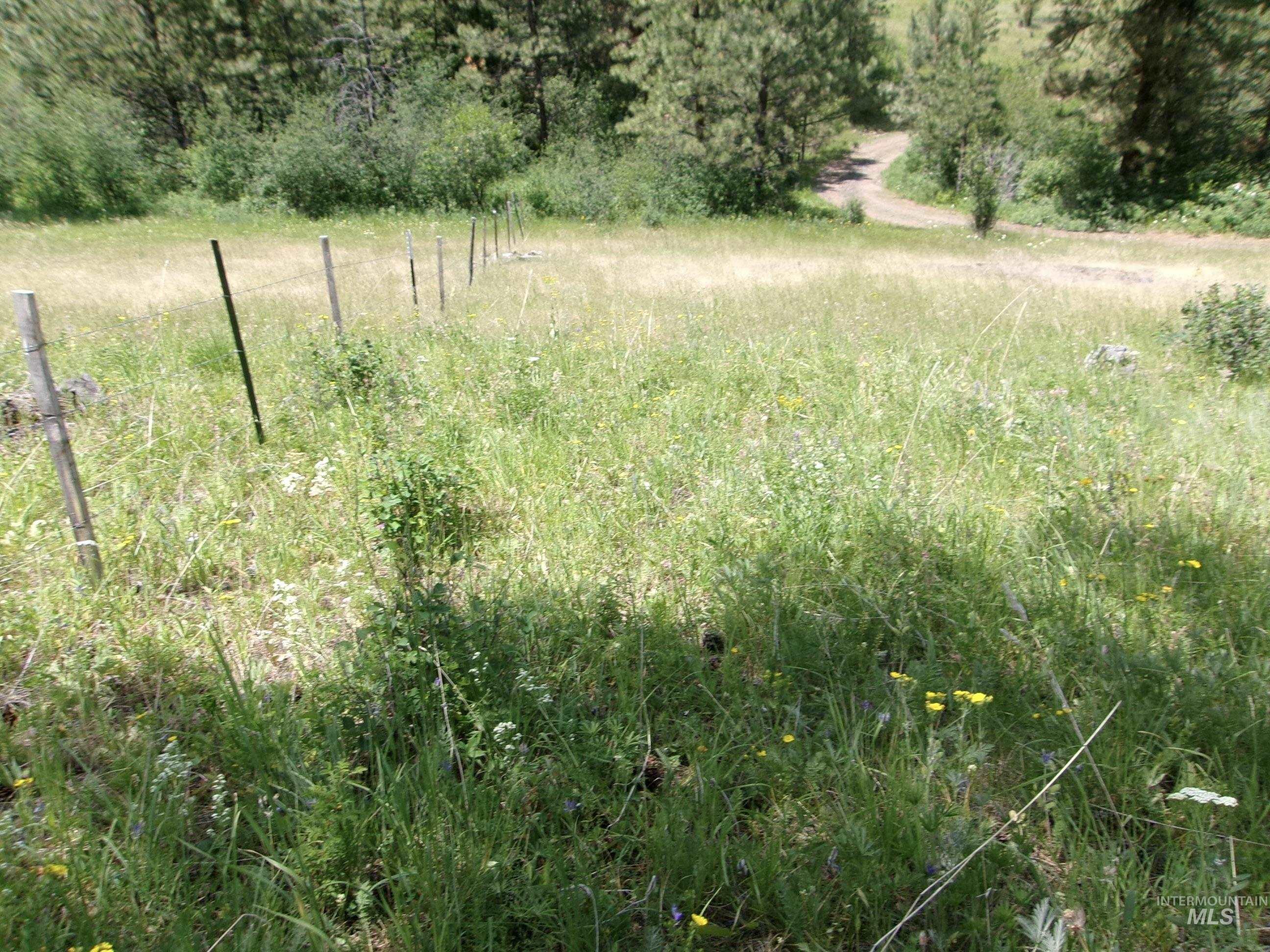 Nna 8 Ac Jackpine Property Photo 12