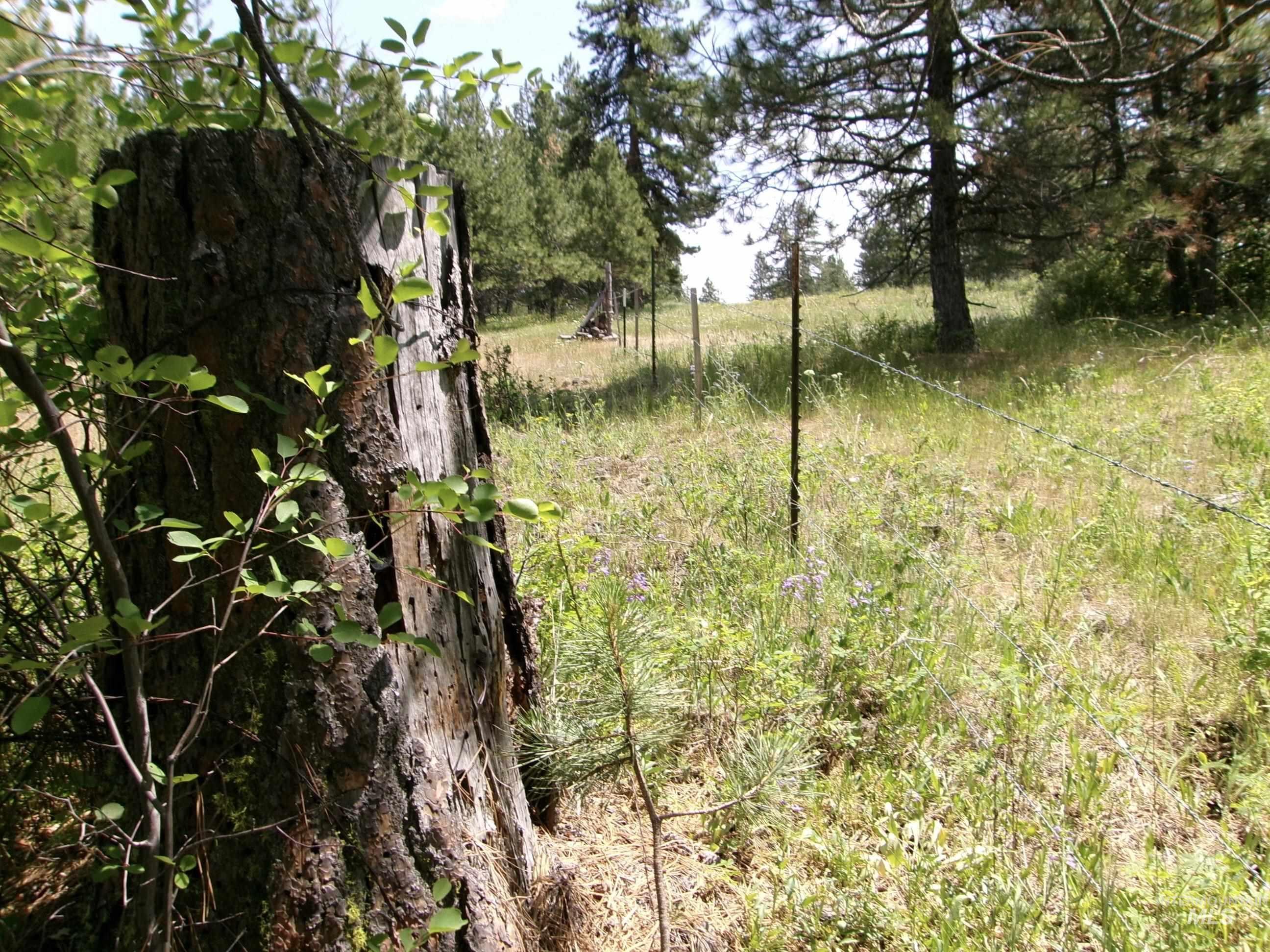 Nna 8 Ac Jackpine Property Photo 18