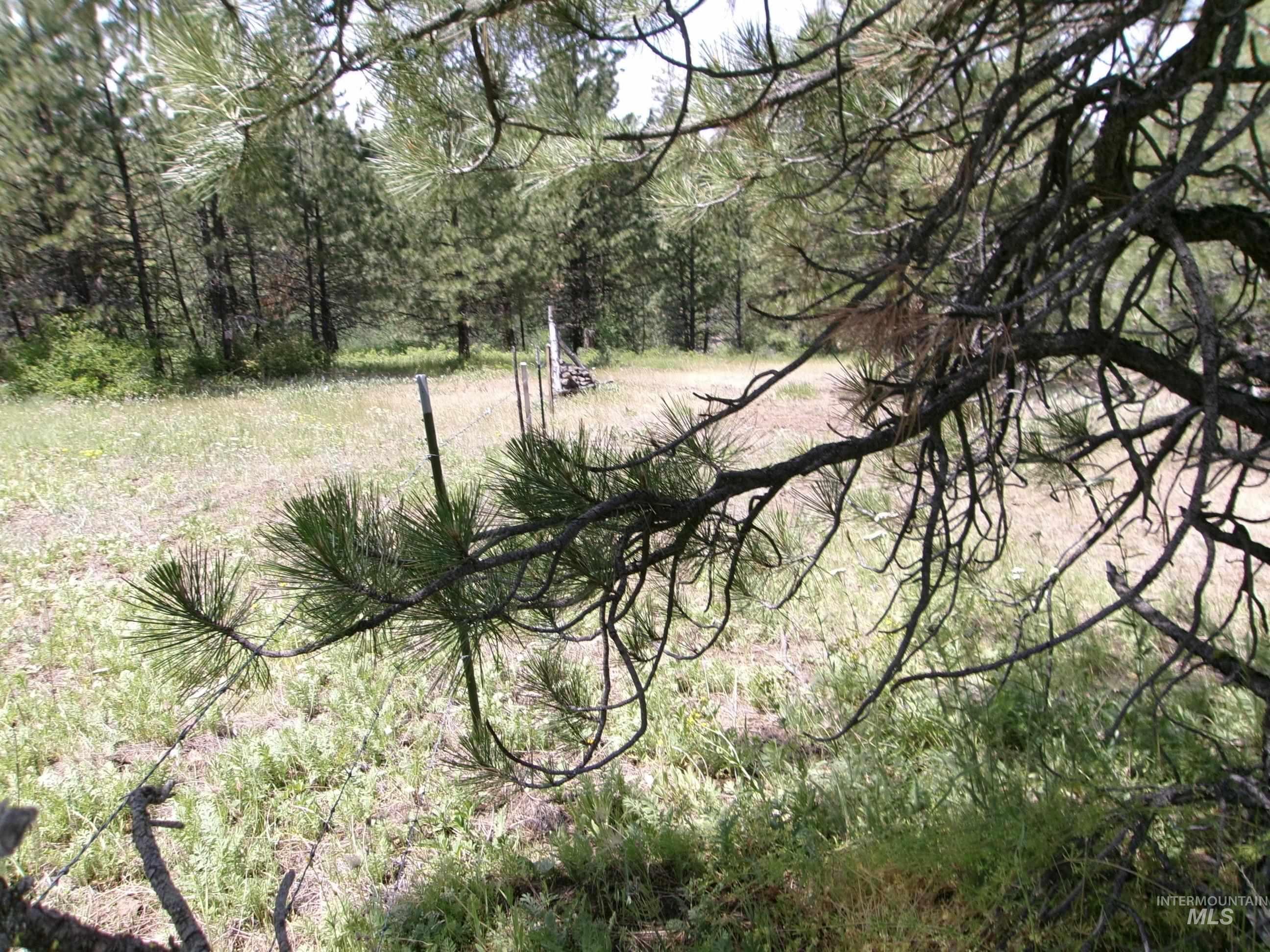 Nna 8 Ac Jackpine Property Photo 19