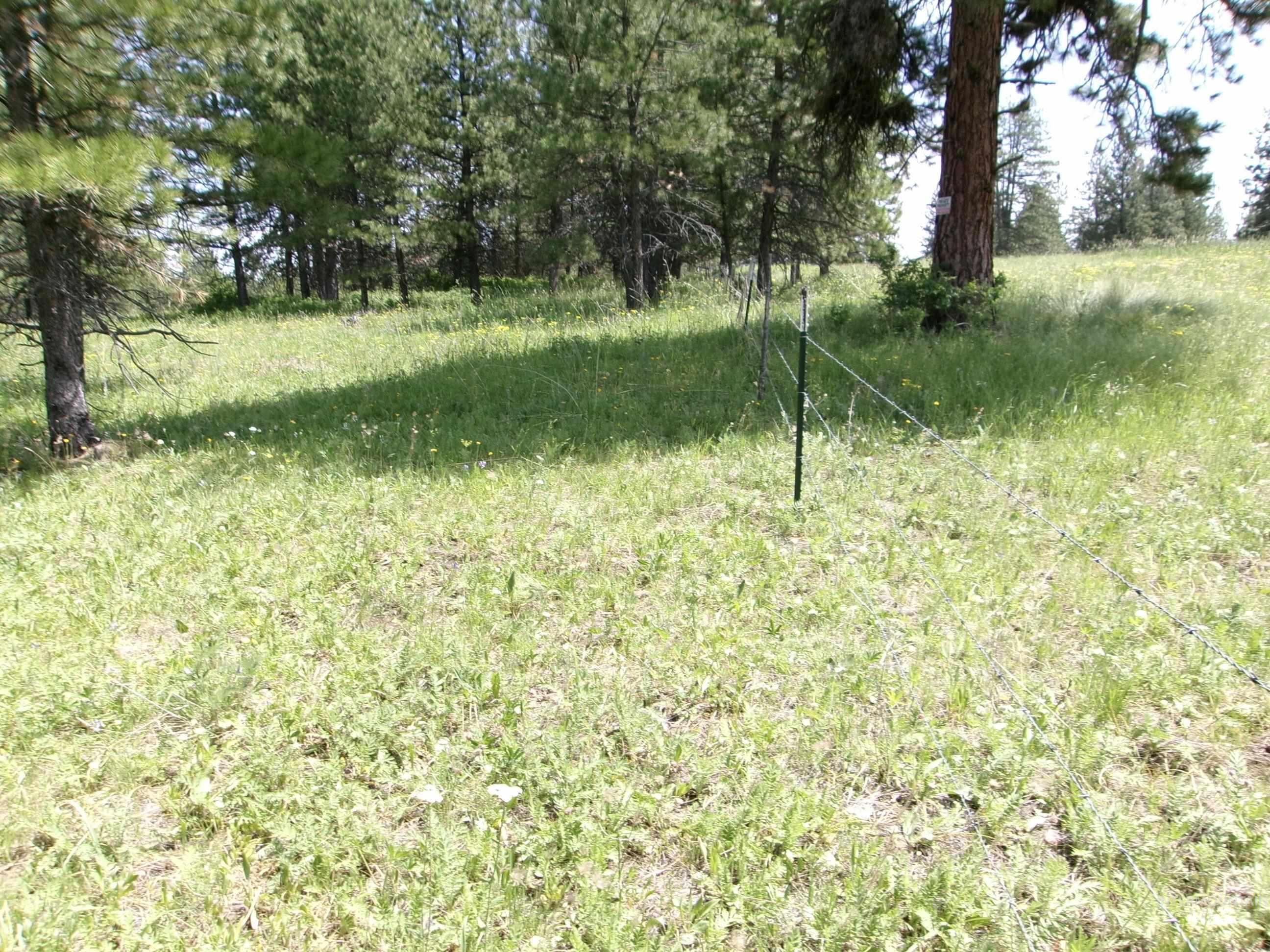 Nna 8 Ac Jackpine Property Photo 20