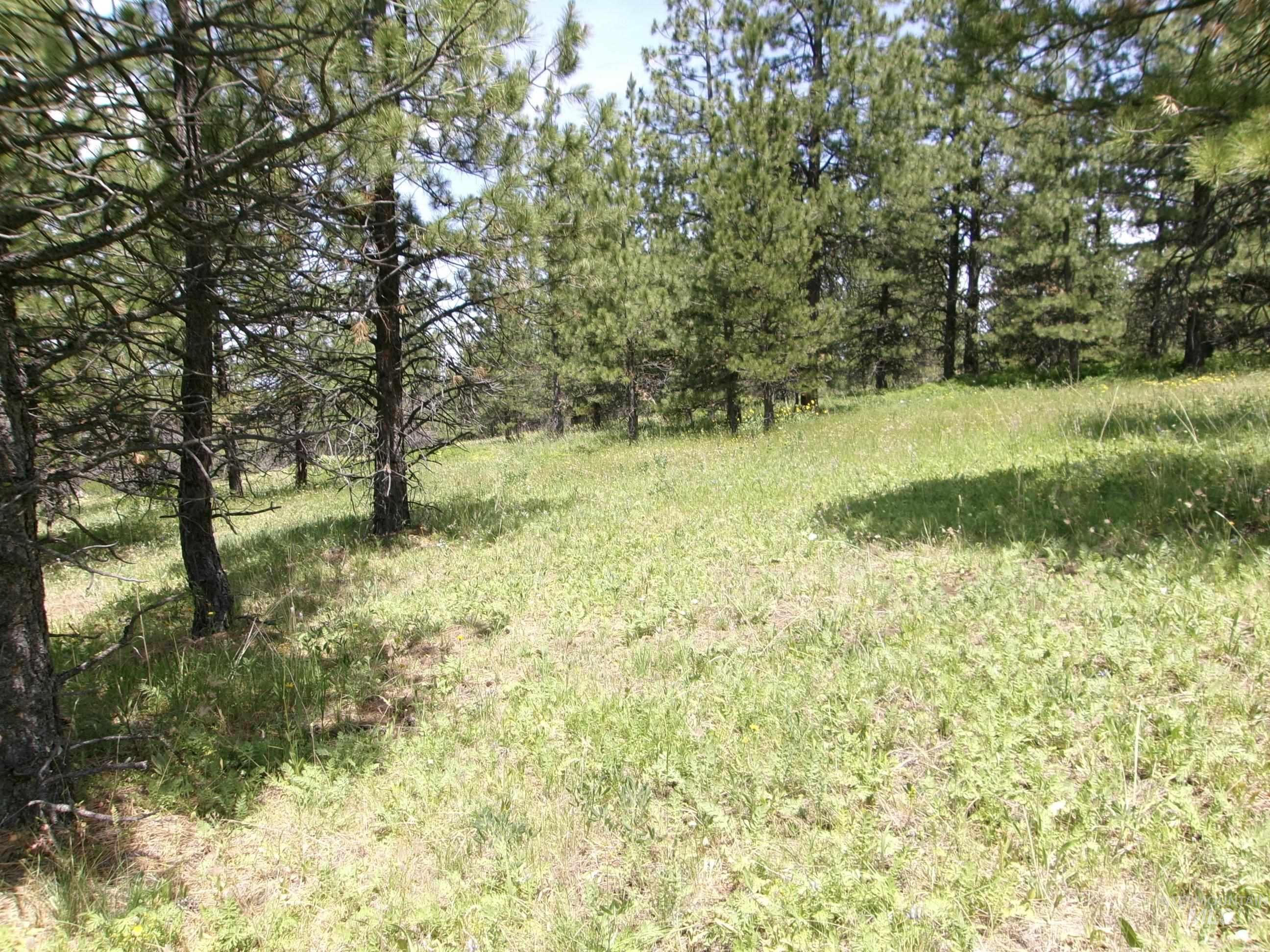 Nna 8 Ac Jackpine Property Photo 21