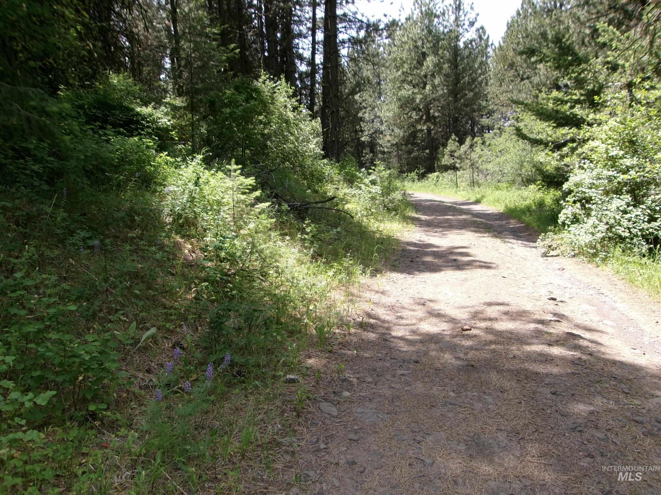 Nna 8 Ac Jackpine Property Photo 24
