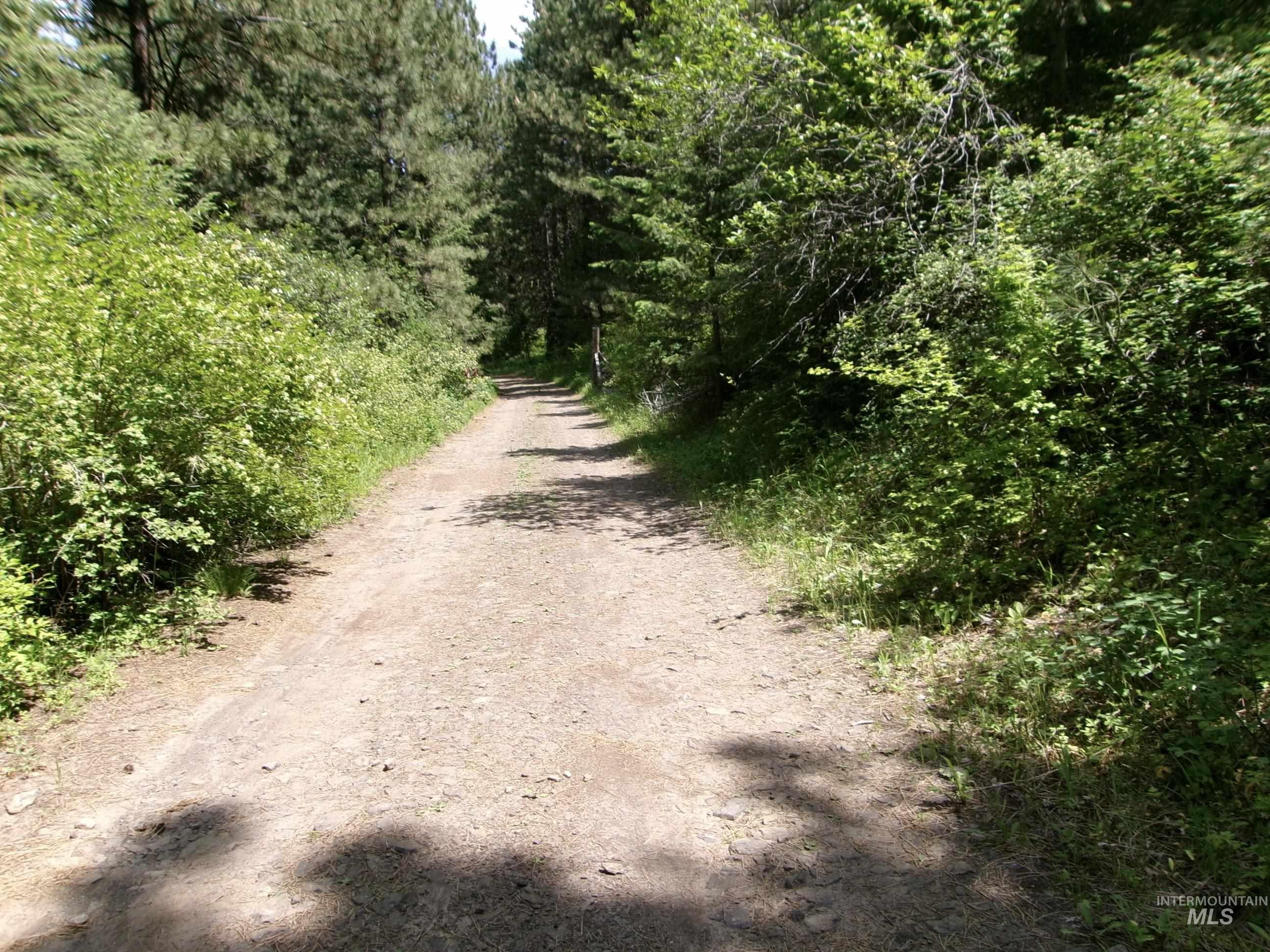 Nna 8 Ac Jackpine Property Photo 25