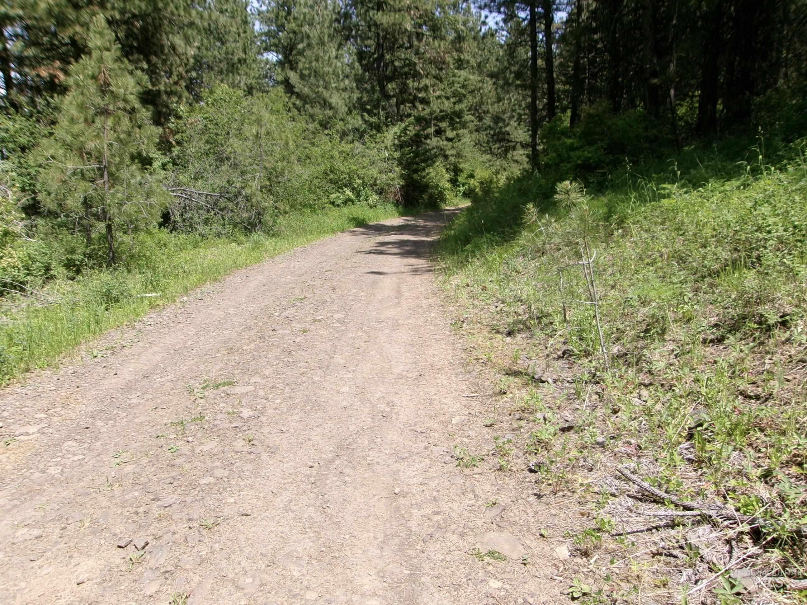 Nna 8 Ac Jackpine Property Photo 28