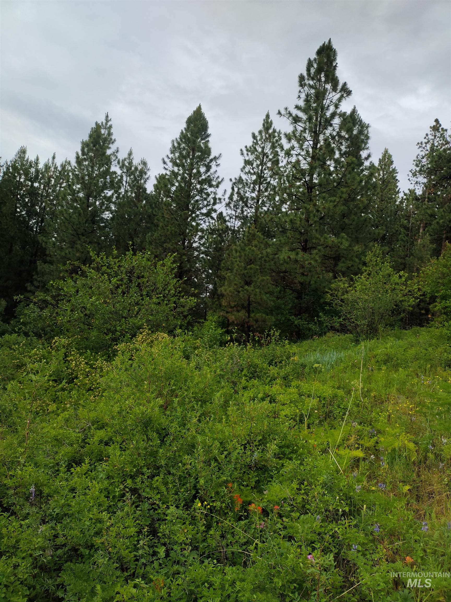 Nna 8 Ac Jackpine Property Photo 29