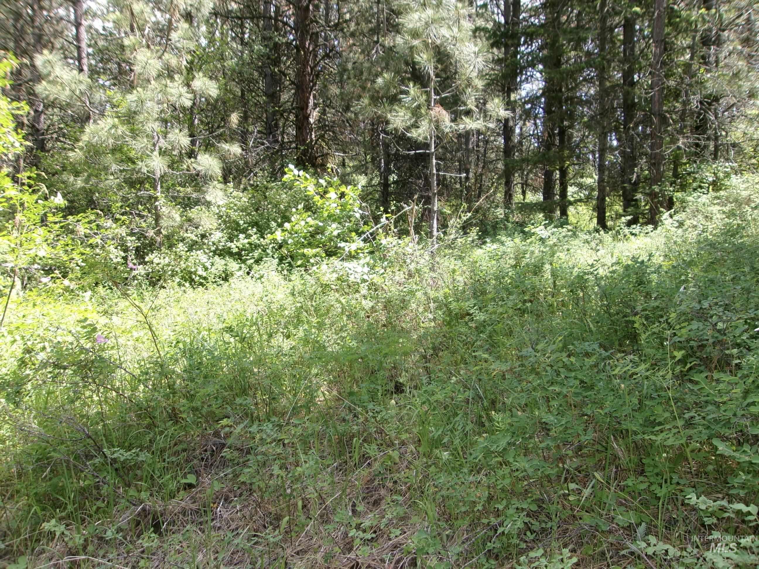 Nna 8 Ac Jackpine Property Photo 31