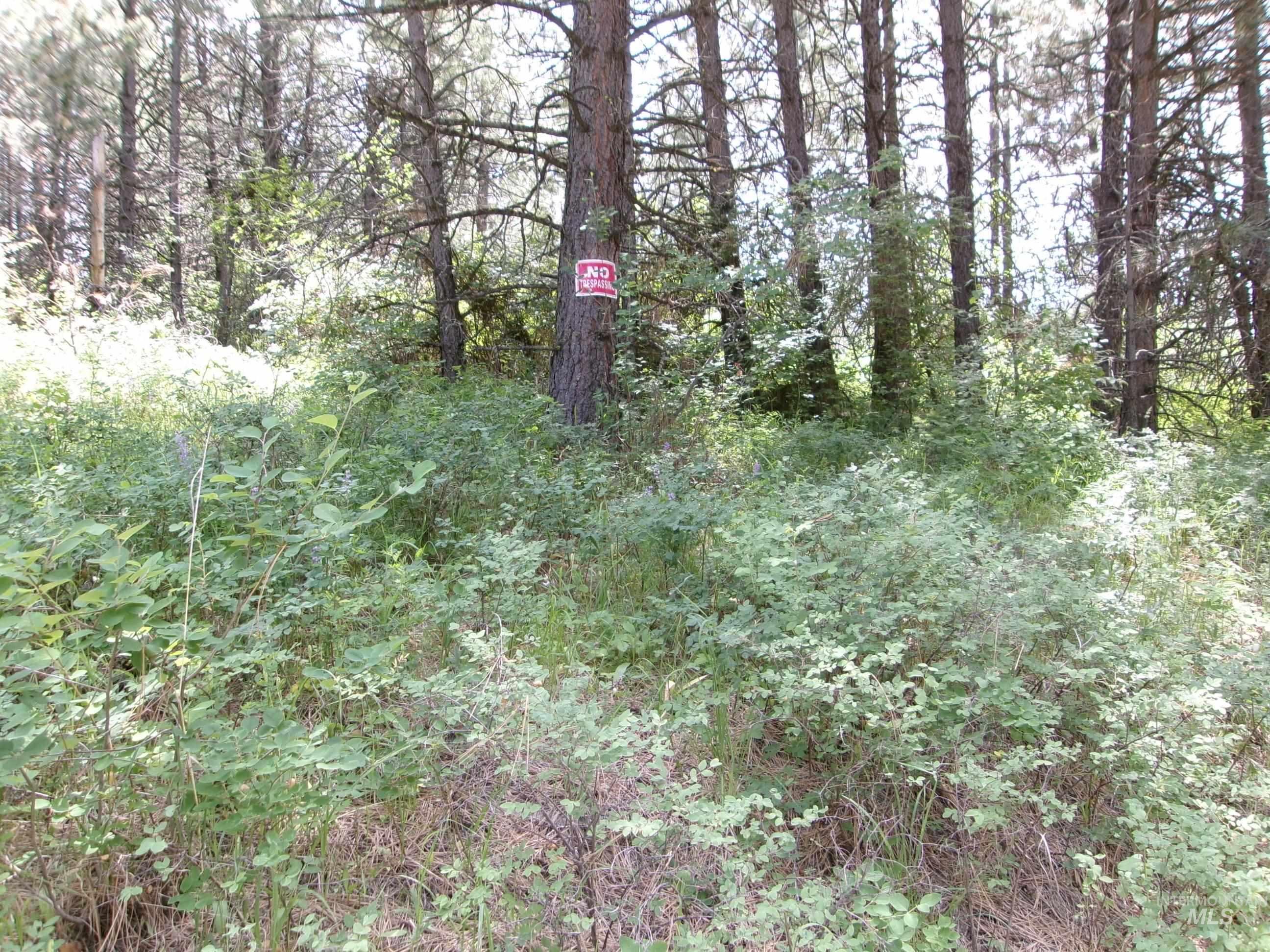 Nna 8 Ac Jackpine Property Photo 32